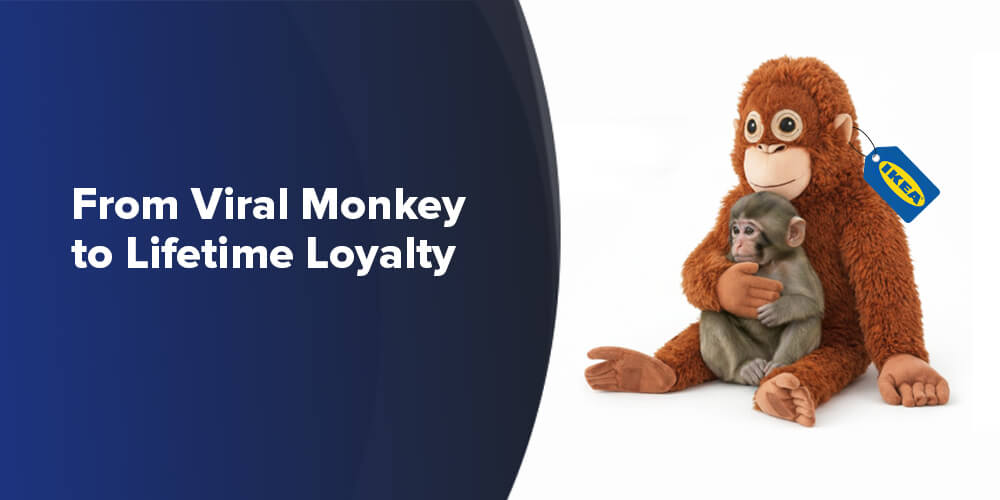 From Viral Monkey to Lifetime Loyalty