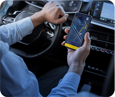 Ride-Sharing & Mobility Brands